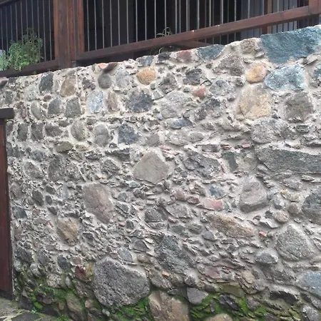 Patriko Traditional House