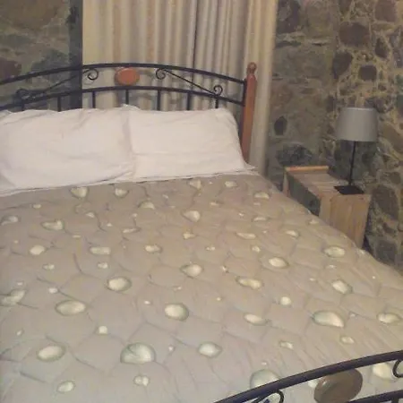 Patriko Traditional House