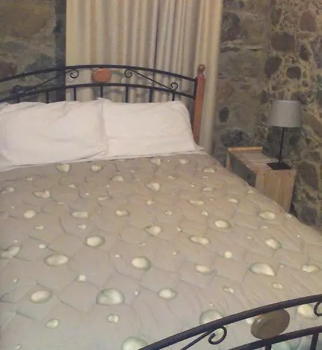 Patriko Traditional House